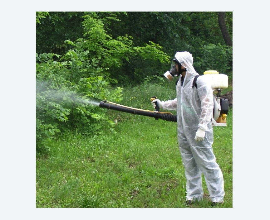 обработка территории от клещей в Алексеевском районе Москвы