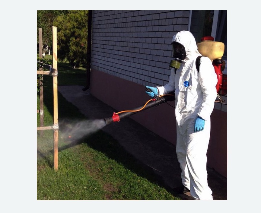 травля клещей на участке в Алексеевском районе Москвы