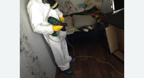 Обработка квартир от насекомых в Алексеевском районе Москвы