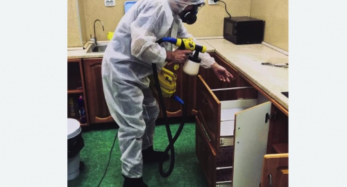 Дезинсекция квартиры. Алексеевский район 