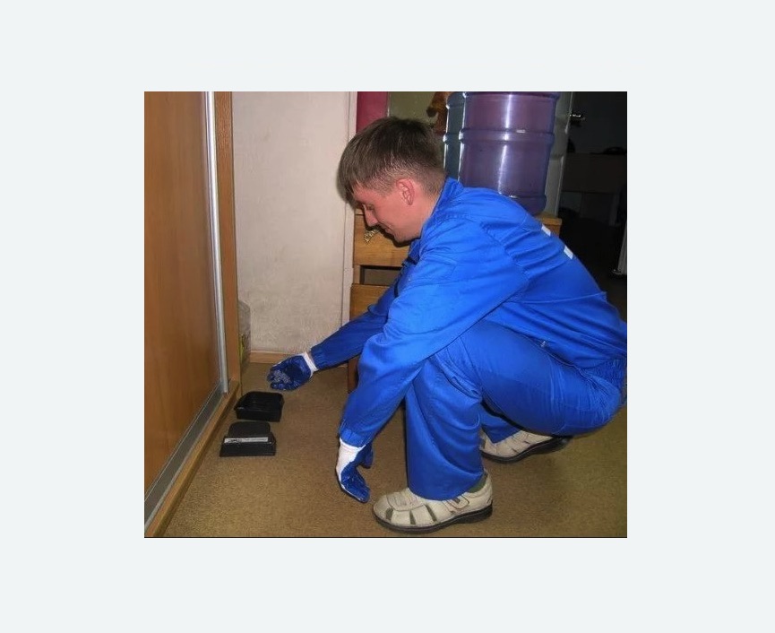 Дератизация крыс в Алексеевском районе Москвы