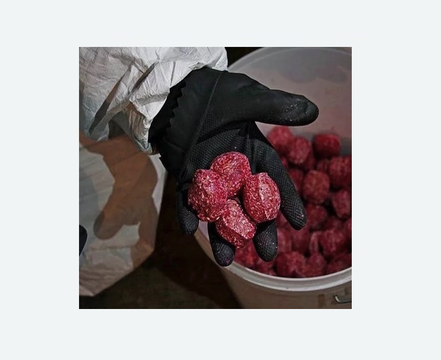 Обработка от крыс в Алексеевском районе Москвы