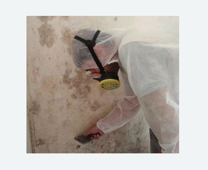 Обработка стен от плесени в Алексеевском районе Москвы