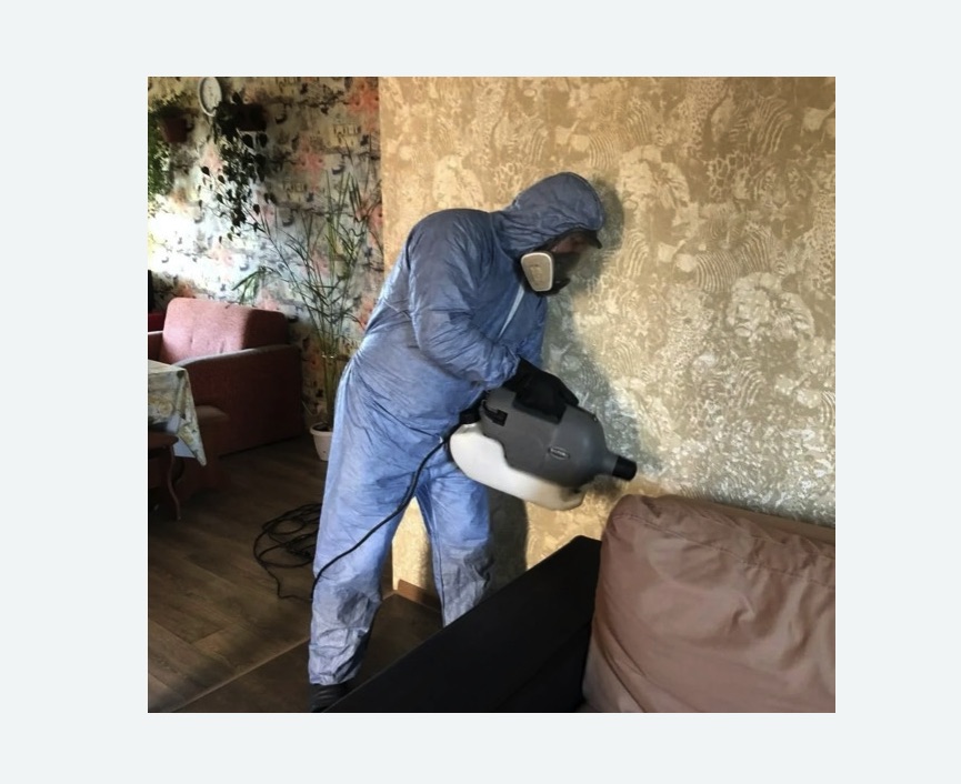 Уничтожение блох в квартире. Алексеевский район Уничтожение блох в квартире