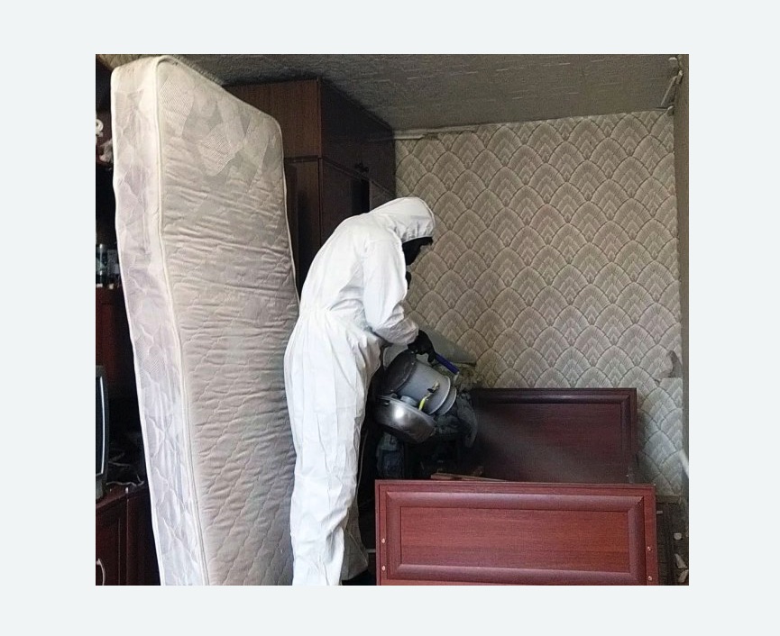 дезинфекция от клопов в Алексеевском районе Москвы