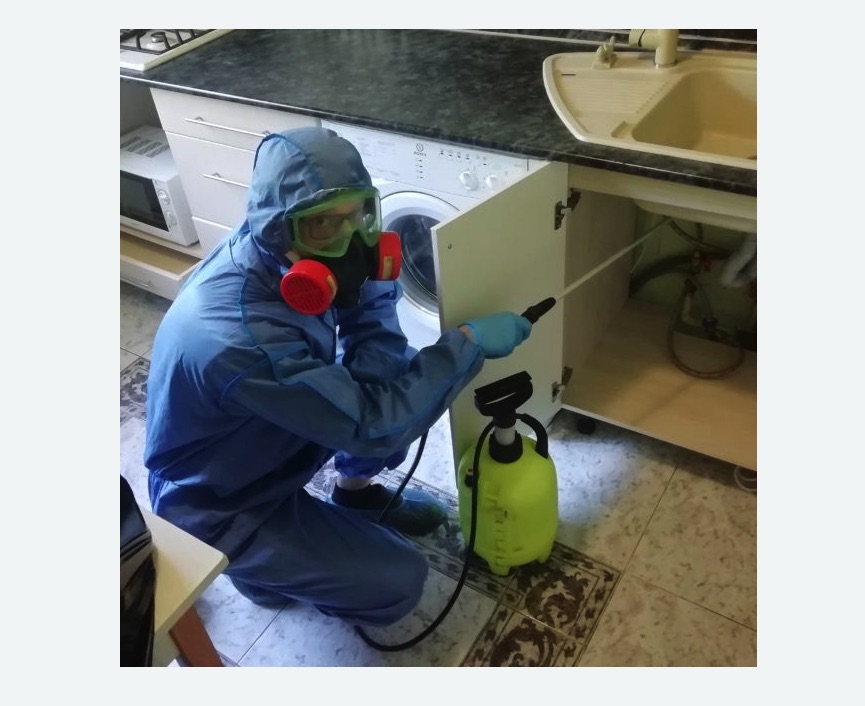 обработка от муравьев в квартире обработка от муравьев в квартире в Алексеевском районе Москвы