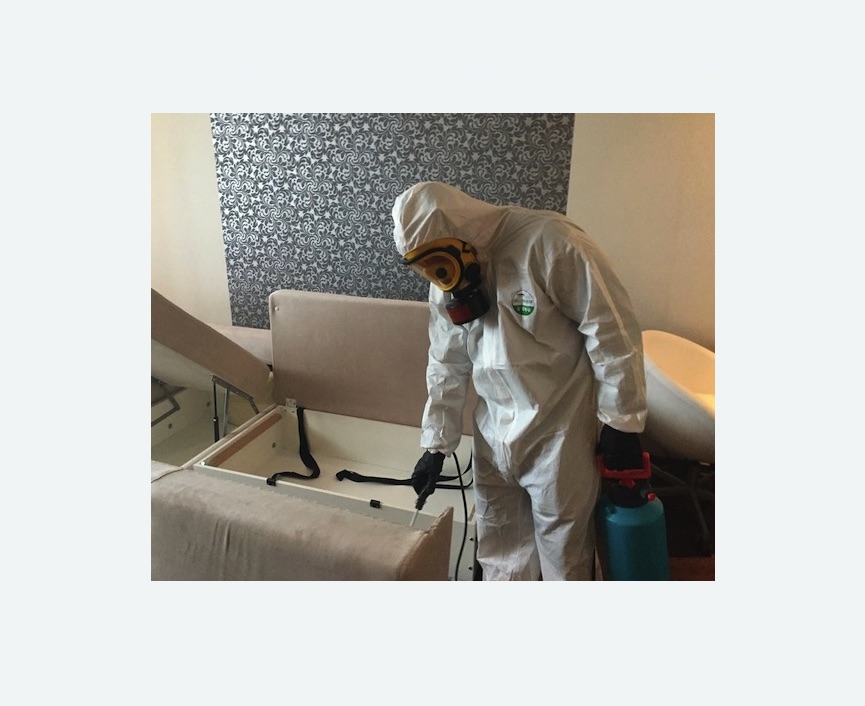 уничтожение клопов в квартире в Алексеевском районе Москвы