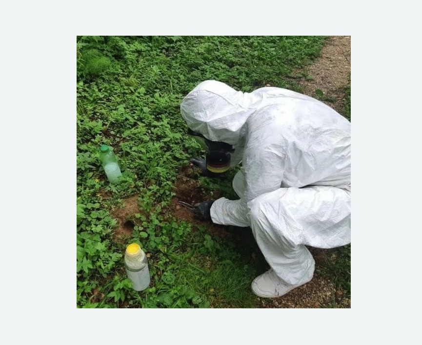 уничтожение кротов на участке уничтожение кротов на участке в Алексеевском районе Москвы